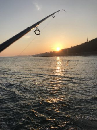 波ちょい高、渋め