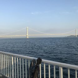 まだ大サバは…。