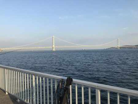 まだ大サバは…。