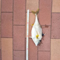 3目達成　~辰巳橋付近~