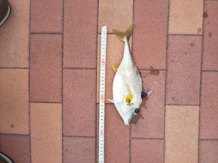 3目達成　~辰巳橋付近~