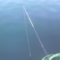 腕さえあれば・・・