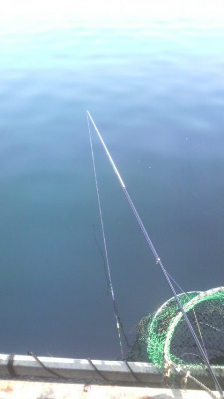 腕さえあれば・・・