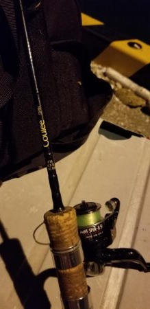 ナイトゲームでナイスゲーム