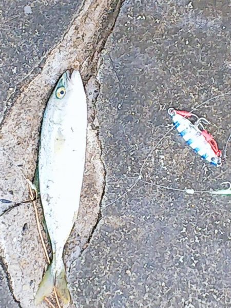 また逢う日まで～