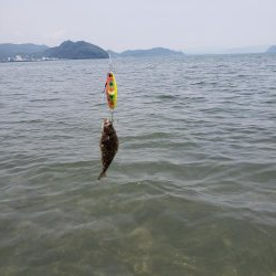 初ウェーディング