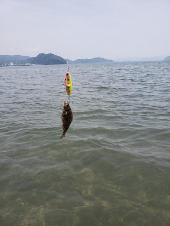 初ウェーディング