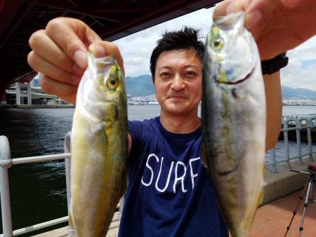 オリジナルルアーテストでハマチ！ツバス　セイゴ　メバル　豆アジ爆釣