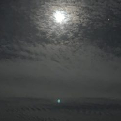 噂のタチウオゲット