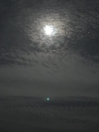 噂のタチウオゲット