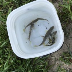 何年かぶりの…