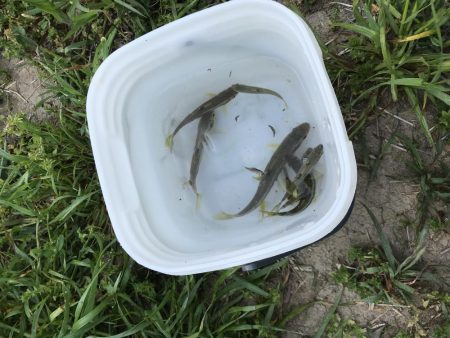 何年かぶりの…