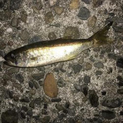 イェーイ!!!前田!!見てるぅ〜!?