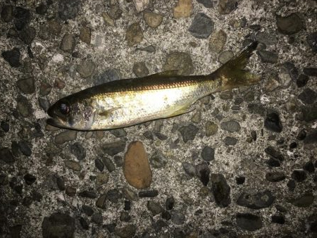 イェーイ!!!前田!!見てるぅ〜!?