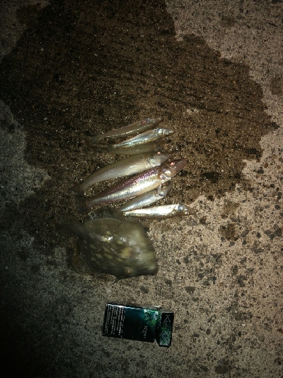 ちょい投げで思わぬ外道が…