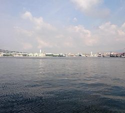 やっと釣れたぁ！