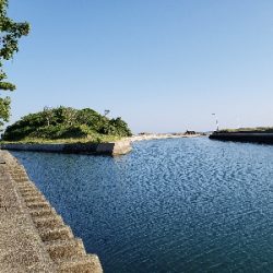 やはりあかんかった