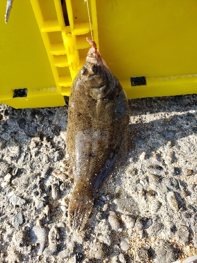 キス狙いです。