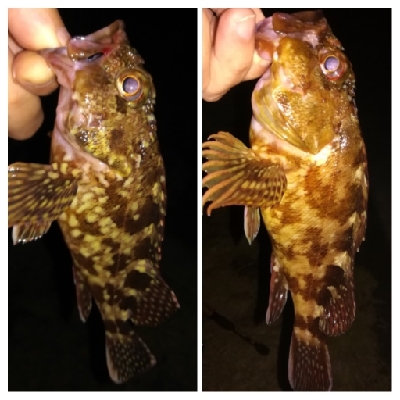 ソルトルアーマン1800〜2145