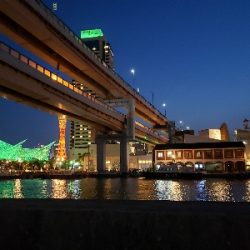 アーバンサイドゲーム‼️