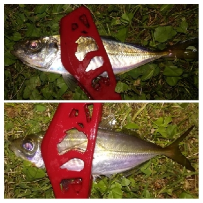 アジンガー2100〜2151