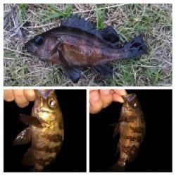 ソルトルアーマン1800〜2045