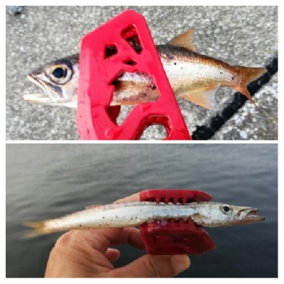 アジンガー1815〜1930