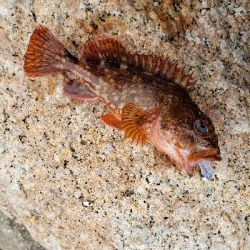 どんよりした天気の中