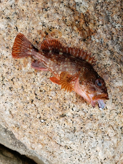 どんよりした天気の中