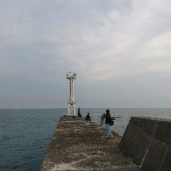 マゴチ狙いで鈴鹿の漁港に行ってきましたが。。