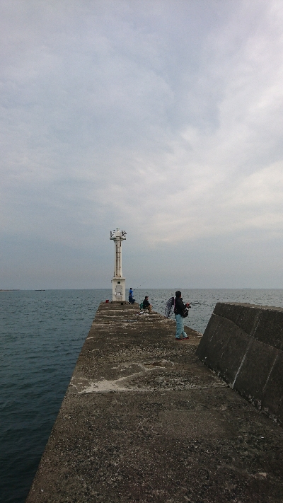マゴチ狙いで鈴鹿の漁港に行ってきましたが。。