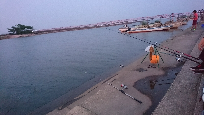 夜釣りで太〜い天然うなぎ2匹