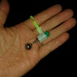 ブッコミ釣りでクロダイ