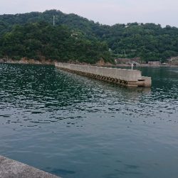 釣り部 釣行記 32