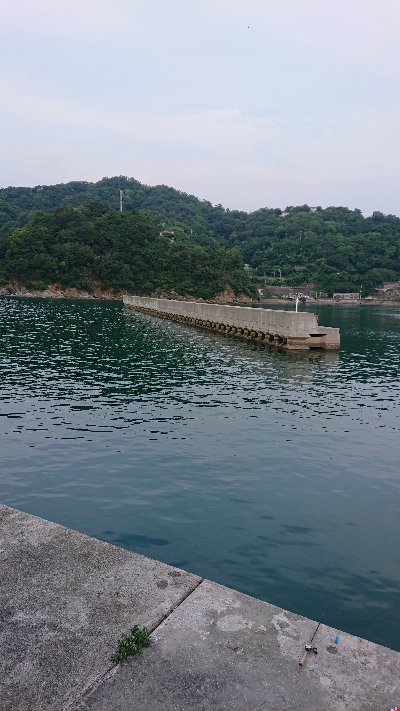 釣り部  釣行記  32