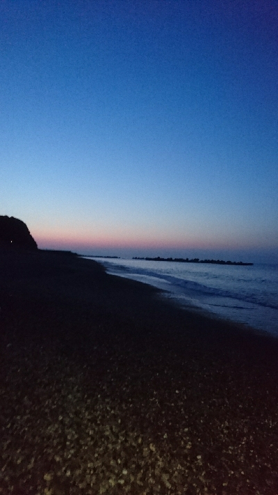 仁淀川河口周辺サーフライトショアジギング