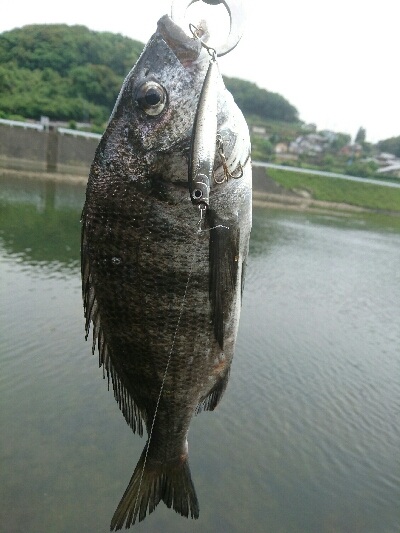 やっとこの時期が！