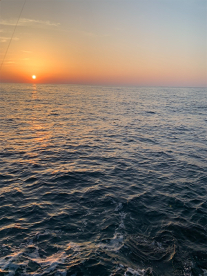 大型アオリイカ釣果！！