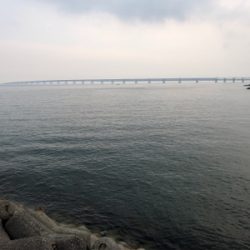 オールナイトメバリング