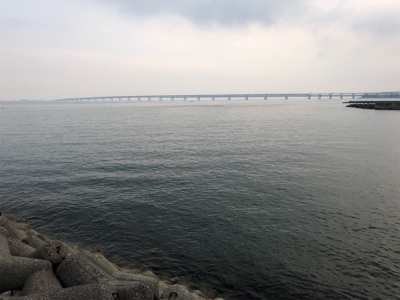 オールナイトメバリング