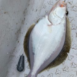 ソウハチカレイシーズンイン!