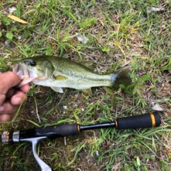 小バス釣りに行ってきました。