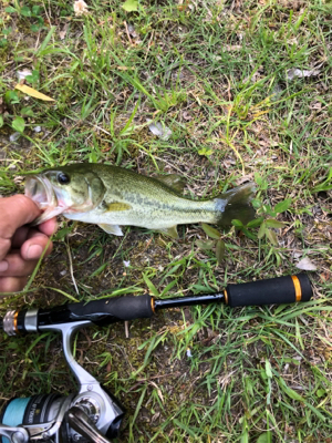 小バス釣りに行ってきました。