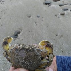 キスを求めて二日目