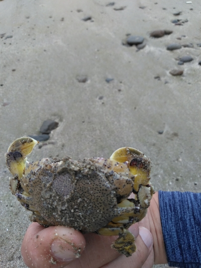 キスを求めて二日目