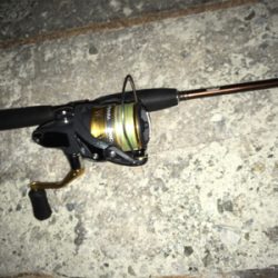 ガングロゲーム