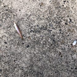 淡路島チョイ投げ