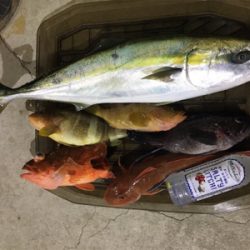 丹後沖、マイボートでタイラバ釣行