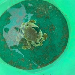 なんやかんや釣れた！！！！