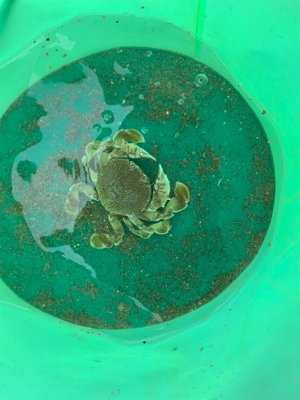 なんやかんや釣れた！！！！